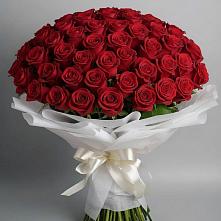 Букет 101 Красная роза Блэк Мэджик в Красногвардейском Ставропольского края