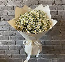 Букет цветов из:  Ромашки в Красногвардейском Ставропольского края