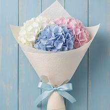 Букет цветов из:  Гортензия в Красногвардейском Ставропольского края