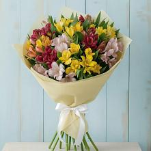 Букет цветов из:  Альстромерии в Красногвардейском Ставропольского края