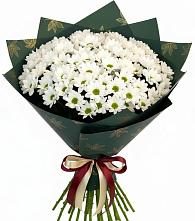 Букет цветов из:  Хризантемы в Красногвардейском Ставропольского края