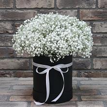 Цветочная композиция из Гипсофила в шляпной коробке в Красногвардейском Ставропольского края