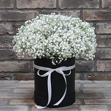 Цветочная композиция из Гипсофила в шляпной коробке в Красногвардейском Ставропольского края