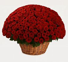 Премиум букет из: Розы #REPLACE_PRED# Красногвардейском Ставропольского края