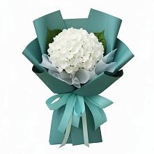 Букет цветов из:  Гортензия #REPLACE_PRED# Красногвардейском Ставропольского края